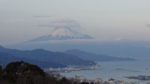 DSC05049