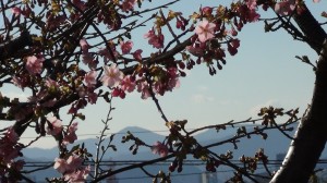 DSC05163
