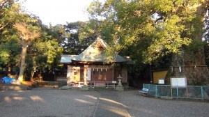 DSC05186