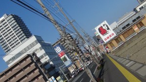 DSC05254