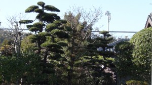 DSC05269