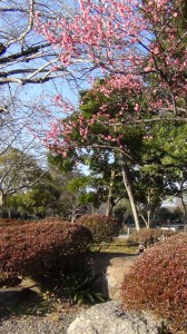 DSC05297