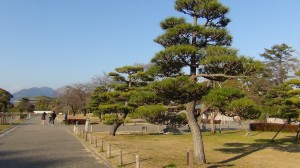 DSC05301