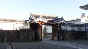 DSC05308