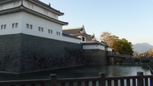 DSC05314