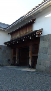 DSC05323
