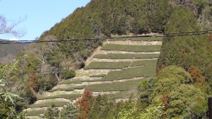 DSC05439