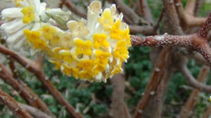 DSC05906