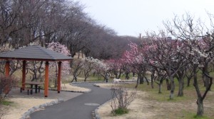 DSC05910