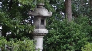DSC05929