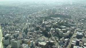 DSC06194