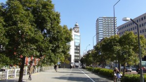 DSC06206