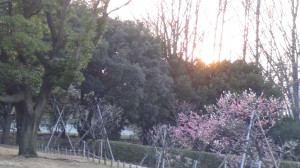 DSC06265