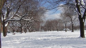 DSC07059
