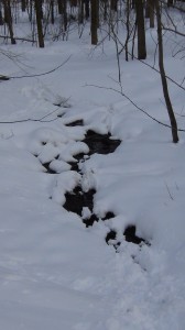 DSC07133