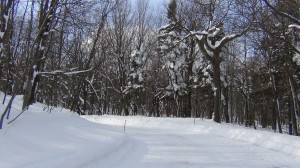 DSC07159