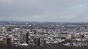 DSC07178
