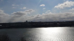 DSC07325