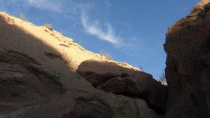 DSC07886
