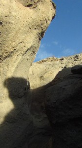 DSC07906