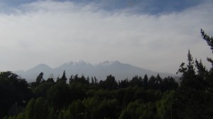 DSC07941