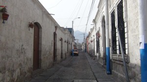 DSC07955
