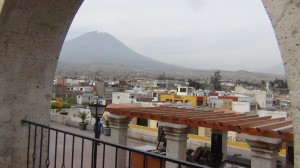 DSC07974
