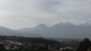 DSC08001