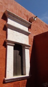 DSC08343