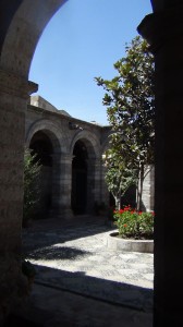 DSC08355