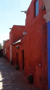 DSC08408