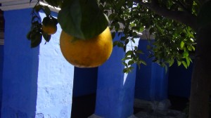 DSC08498