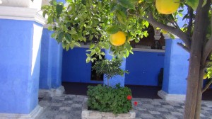DSC08500