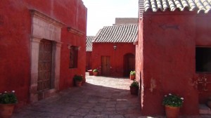 DSC08550