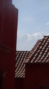 DSC08551