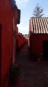 DSC08567