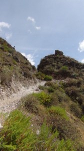DSC08959