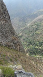 DSC09005