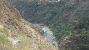 DSC09051