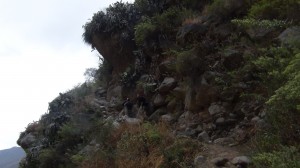 DSC09097