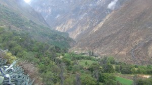 DSC09144