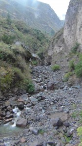 DSC09172