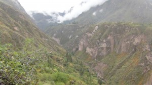 DSC09207