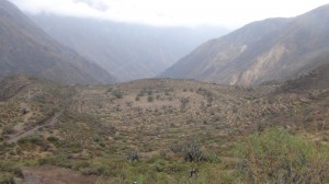 DSC09260