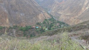 DSC09281