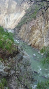 DSC09309