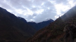 DSC09362