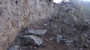DSC09363