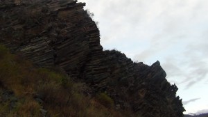 DSC09368