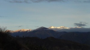 DSC09379